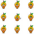 Orange fruit expression bundle set