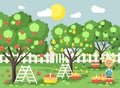 Vector illustration cartoon characters child blonde little girl harvest ripe fruit autumn orchard garden from plum, pear