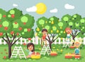 Vector illustration cartoon characters children boys and girls harvest ripe fruits autumn orchard garden from plum, pear Royalty Free Stock Photo