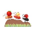 A cartoon colony of ants carrying berries and walking on the pile of soil to the nest