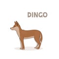 Vector illustration, a cartoon dingo, isolated on a white background. Animal alphabet.