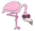 Cartoon flamingo with sunglasses