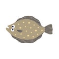 vector illustration of cartoon flounder isolated on white