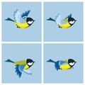 Flying Great Tit animation sprite sheet