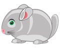 Vector illustration of the cartoon fur-bearing animal chinchillas