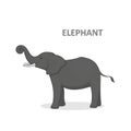 Vector illustration, a cartoon gray elephant, isolated on a white background. Royalty Free Stock Photo