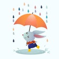 Cartoon gray rabbit splashing in a puddle in rainy day