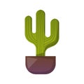 Vector cartoon house plant cactus icon