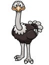 Cartoon ostrich Royalty Free Stock Photo