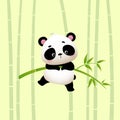 Vector illustration cartoon panda hanging on the bamboo trees