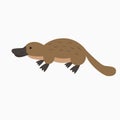 Vector illustration with cartoon platypus icon. Royalty Free Stock Photo