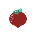 Vector illustration with cartoon pomegranate fruit isolated