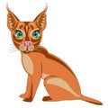 Steepe trot caracal on white background is insulated