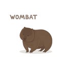 Vector illustration, a cartoon wombat, isolated on a white background. Animal alphabet. Royalty Free Stock Photo