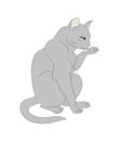 Vector illustration of a cat that licks its paw, drawing color