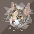 Vector illustration cat low-polygonal