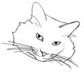 Vector illustration, cat muzzle in black and white colors, outline hand painted sketch drawing Royalty Free Stock Photo