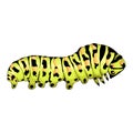 Vector illustration with a caterpillar realistic