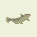Vector Illustration of Catfish, Made Simple in Gray