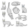 Vector illustration of cats