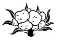 Cauliflower cabbage silhouette icon