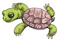 Vector Illustration Central Asian tortoise cartoon on isolated in green and pink colours on white background. Turtle. Testudo