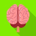 Vector design of cerebrum and hemisphere sign. Web element of cerebrum and gyri stock vector illustration.