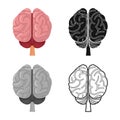 Vector illustration of cerebrum and hemisphere logo. Graphic of cerebrum and gyri stock vector illustration.