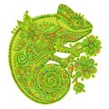 Vector illustration with a chameleon and beautiful patterns in shades of green