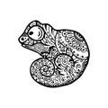 Vector illustration of Chameleon with doodle pattern