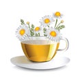 Vector illustration chamomile tea in a transparent cup Royalty Free Stock Photo