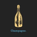 Vector illustration of champagne bottle. Hand drawn sketch of alcoholic beverage for cafe, bar label,restaurant menu.