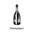 Vector illustration of champagne bottle. Hand drawn sketch of alcoholic beverage for cafe, bar label,restaurant menu.