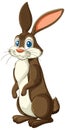 A cheerful brown rabbit