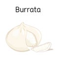 Vector illustration of cheese and burrata icon. Graphic of cheese and piece vector icon for stock.