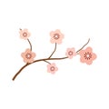 Vector illustration of cherry blossom branch with small pink flowers. Spring awakening concept. Logo design element