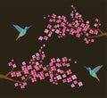 Vector Cherry Blossom Branches With Hummingbirds