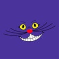 Vector illustration of cheshire cat. The face of the cat. The