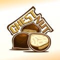 Vector illustration of chestnut