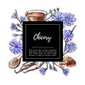 Vector illustration Chicory with hand drawn ink outline, bright watercolor texture and a black rectangle frame with place for your Royalty Free Stock Photo