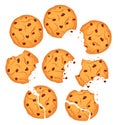 Vector illustration of chocolate cookies set. Different shapes oatmeal cookies with chocolate drops and crumbs isolated