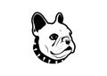 Chubby French Bulldog logo symbol with rocker collar style.