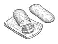 Vector illustration of ciabatta bread