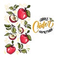 Vector illustration about the cider
