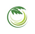 Circle Cannabis Logo Sign