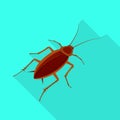 Vector illustration of cockroach and pest sign. Set of cockroach and dirty vector icon for stock.