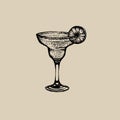 Vector illustration of cocktail margarita. Royalty Free Stock Photo