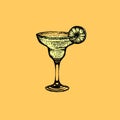 Vector illustration of cocktail margarita. Royalty Free Stock Photo