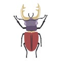 vector illustration of a colored Stag beetle, isolated on a white background Royalty Free Stock Photo