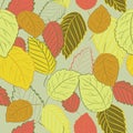 Vector illustration of colorful autumn leaves on soft green background. Seamless pattern.